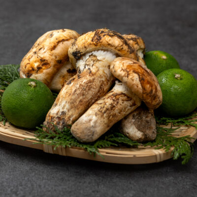 【SK125-awa8008】 ★★採取予約販売 最短当日～最長14日以内に発送【和歌山県】国産高級天然マツタケ 200g〜250g 中開き、開き冷蔵 朝採り産直